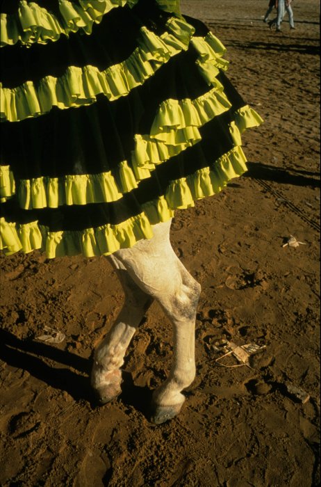 Feria de Abril equina